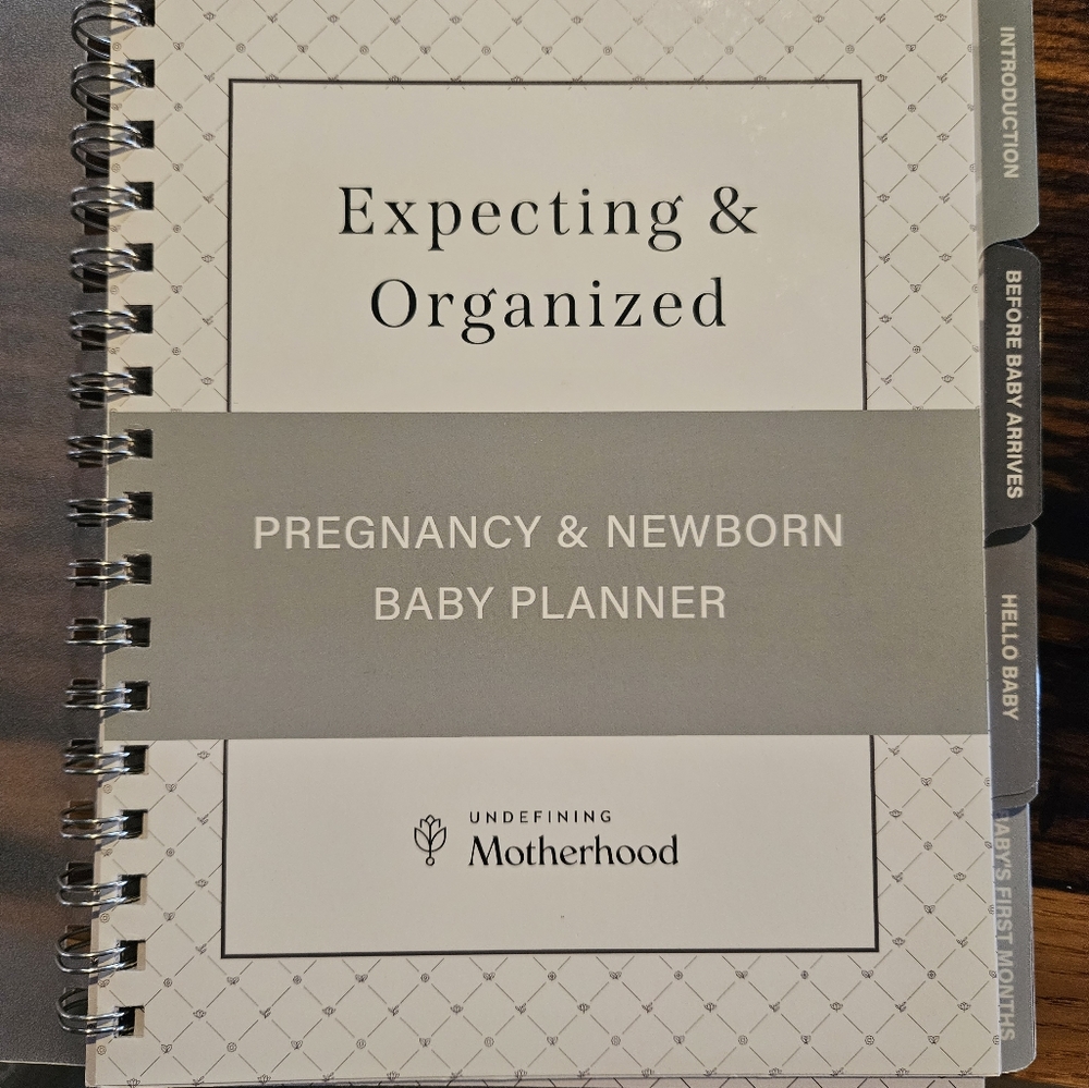 Undefining Motherhood Pregnancy and Baby Planner